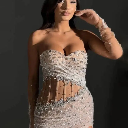 Backless Sheer Mesh with High Slit & Gloves
