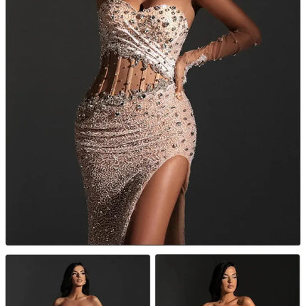 Backless Sheer Mesh with High Slit & Gloves